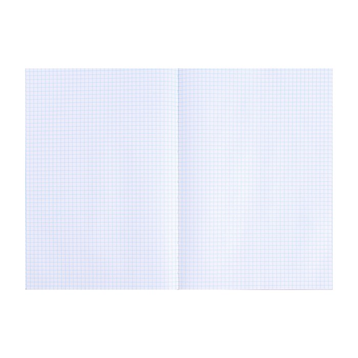 kniga-ucheta-96-listov-oblozhka-bumvinil-blok-ofset-kletka-cvet-sinij-gerb-tisnenie-zolotoj-folgoj-9563370-3 Книга учета, 96 листов, обложка бумвинил, блок ОФСЕТ, клетка, цвет синий, ГЕРБ (тиснение золотой фольгой) — изображение 4