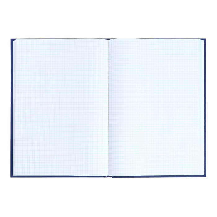 kniga-ucheta-96-listov-oblozhka-bumvinil-blok-ofset-kletka-cvet-sinij-naklejka-9563373-3 Книга учета, 96 листов, обложка бумвинил, блок ОФСЕТ, клетка, цвет синий, НАКЛЕЙКА — изображение 4
