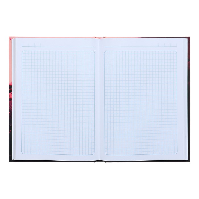 kolledzh-tetrad-v-tverdoj-oblozhke-7bc-a5-160-listov-krasochnyj-kosmonavt-blok-v-kletku-matovaja-laminacija-vyborochnyj-lak-9618398-3 Колледж-тетрадь в твердой обложке 7БЦ, А5, 160 листов, Красочный космонавт, блок в клетку, матовая ламинация, ВЫБОРОЧНЫЙ ЛАК — изображение 4