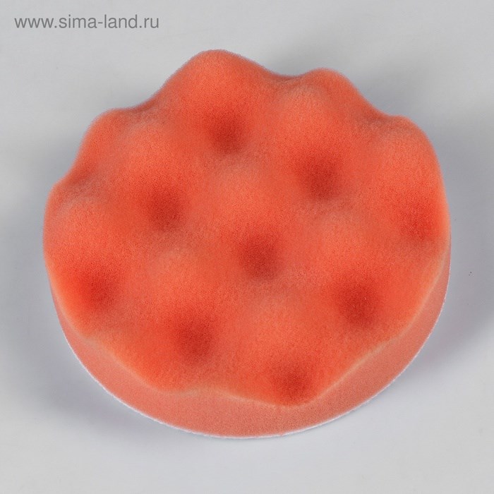 krug-dlja-polirovki-torso-125-mm-nabor-5-predmetov-4382754-3 Круг для полировки TORSO, 125 мм, набор 5 предметов — изображение 4