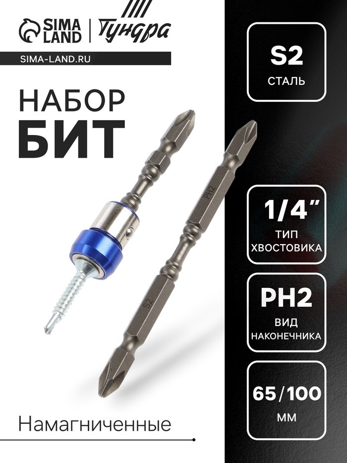 Набор бит ТУНДРА, сталь S2, круглый магнит, двухсторонняя, PH2 х 65 и 100 мм, 2 шт.