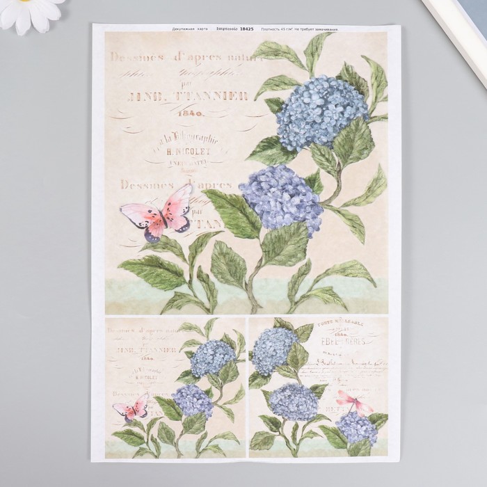 nabor-dekupazhnyh-kart-2-sht-amp171golubaja-gortenzijaamp187-9749112-1 Набор декупажных карт 2 шт «Голубая гортензия» — изображение 2