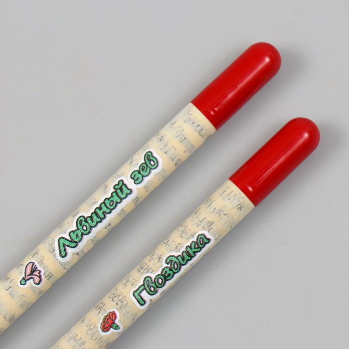 nabor-dlja-vyrashhivanija-karandashi-podarochnye-amp171lvinyj-zev-gvozdika.-samoj-skazochnojamp187-mini-prostye-chernografitnye-2-sht.-9212698-4 Набор для выращивания, карандаши подарочные «Львиный зев + гвоздика. Самой сказочной», mini, простые чернографитные, 2 шт. — изображение 5