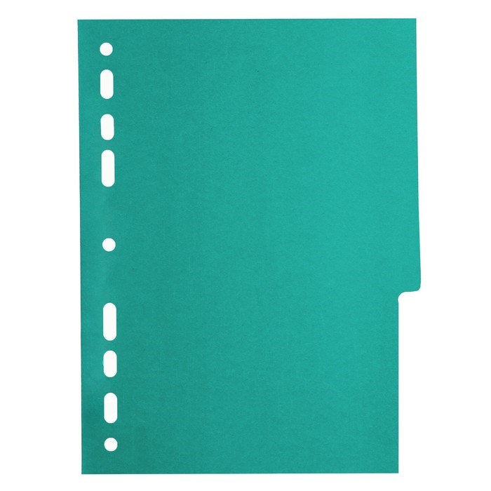 nabor-razdelitelej-listov-a5-office-2000-5-listov-bez-indeksacii-cvetnye-plastik-120-mkm-3624673-5.jpg Набор разделителей листов А5 Office-2000, 5 листов без индексации, цветные, пластик 120 мкм — изображение 6