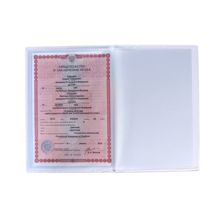 papka-dlja-dokumentov-amp171krasota-rozhdennaja-russkoj-dushojamp187-7049891-7 Папка для документов «Красота, рожденная русской душой» — изображение 8