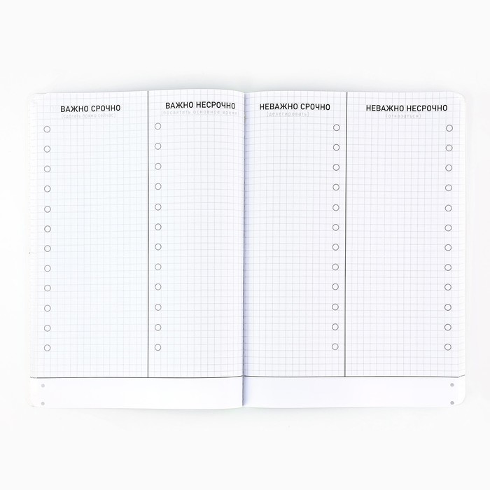 planing-upravlenie-vremenem-a5-soft-tach-uf-lak-100-l-amp171chernyjamp187-10208289-3 Планинг управление временем А5+, софт-тач, уф-лак 100 л «Черный» — изображение 4