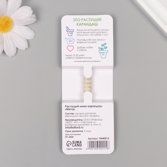 rastushhie-podarochnye-karandashi-mini-ampquotmjataampquot-10640215-1 Растущие подарочные карандаши mini "Мята" — изображение 2