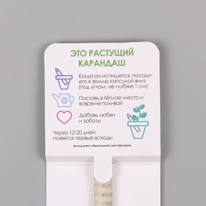 rastushhie-podarochnye-karandashi-mini-ampquotmjataampquot-10640215-2 Растущие подарочные карандаши mini "Мята" — изображение 3