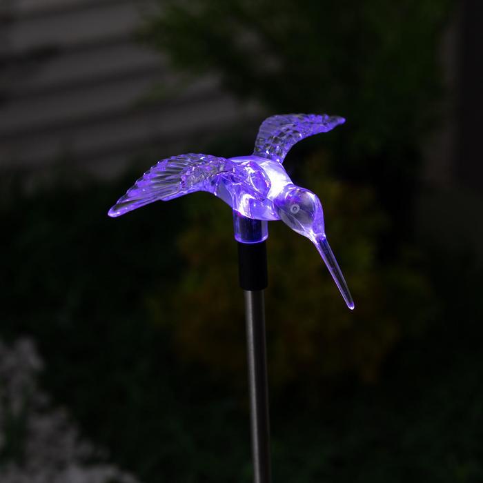 sadovyj-svetilnik-uniel-colibri-na-solnechnoj-bataree-13-amp215-76-amp215-8-sm-svechenie-multi-rgb-3373282-4 Садовый светильник Uniel Colibri на солнечной батарее, 13 × 76 × 8 см, свечение мульти (RGB) — изображение 5