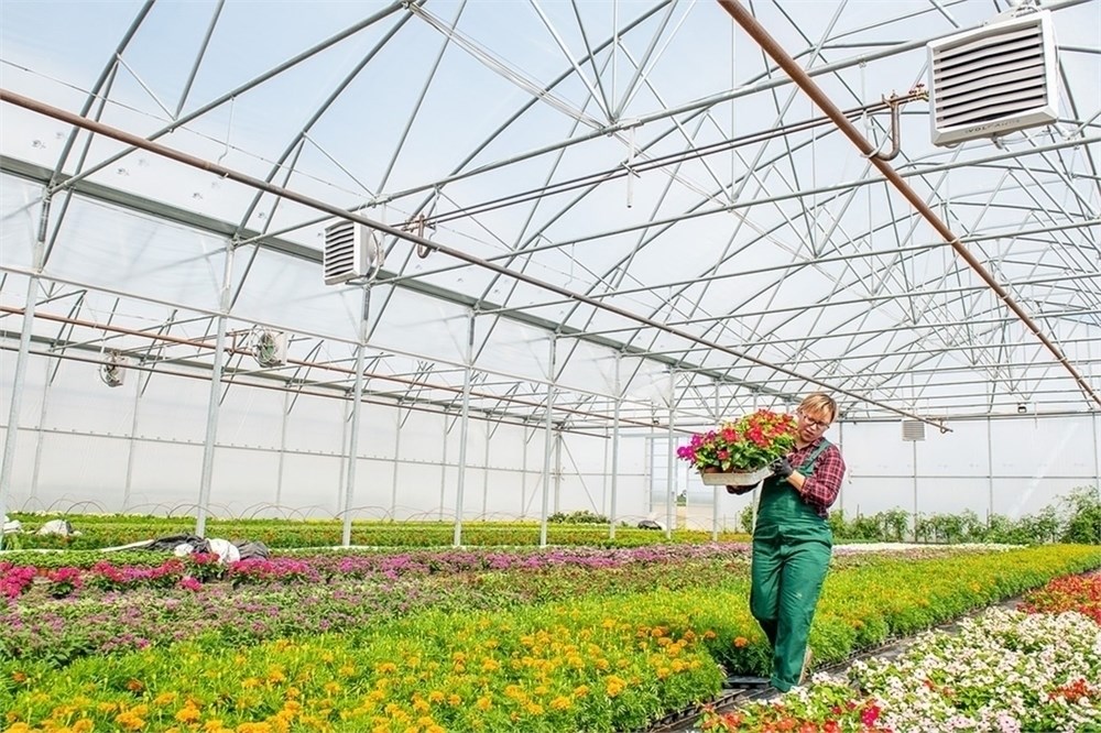 teploventiljator-new-volcano-vr2-ec-vlk0001009-4 Тепловентилятор NEW Volcano VR2 EC — изображение 5