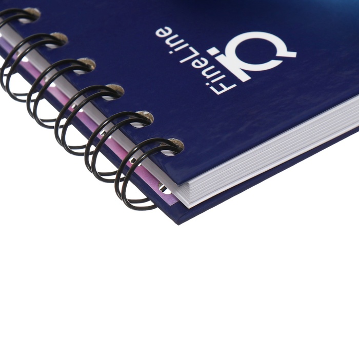 tetrad-v5-80-listov-v-kletku-na-spirali-erichkrause-iq-fineline-v5gljancevaja-laminirovannaja-miks-10429843-2 Тетрадь В5 80 листов в клетку на спирали ErichKrause IQ FineLine, В5,глянцевая, ламинированная микс — изображение 3