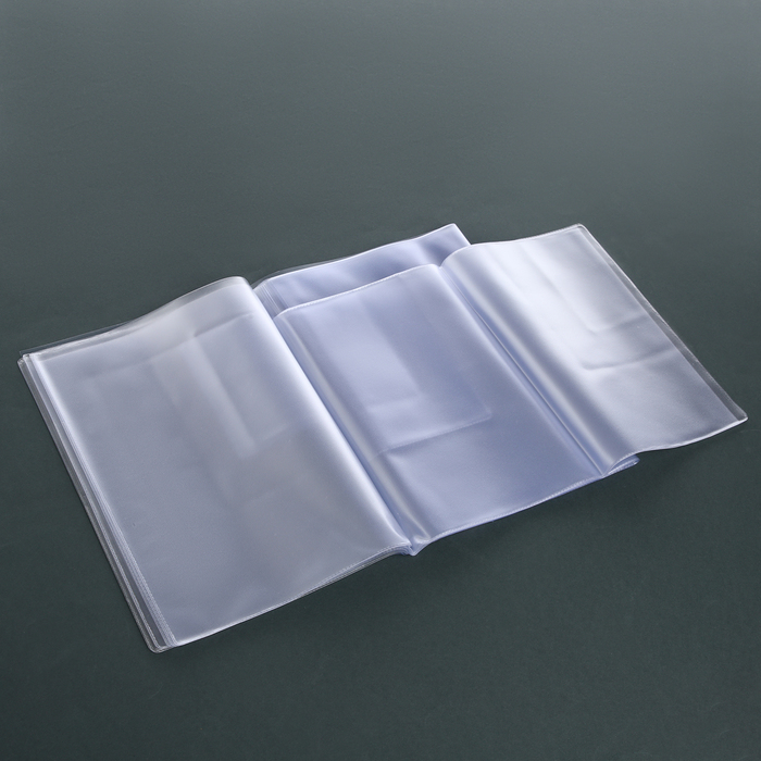 vkladysh-pvh-a5-dlja-semejnyh-dokumentov-2-komplekta-cvet-prozrachnyj-10363902-4 Вкладыш ПВХ (А5) для семейных документов, 2 комплекта, цвет прозрачный — изображение 5