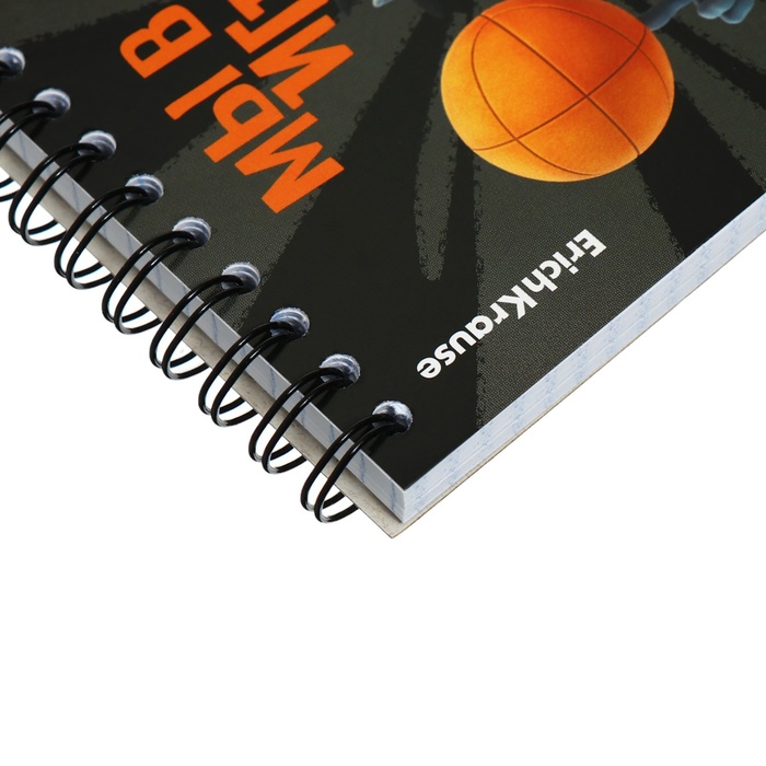 zapisnaja-kniga-a6-80-listov-kletka-erichkrause-ampquotnu-pogodi-kanikulyampquot-kartonnaja-oblozhka-blok-ofset-belizna-100-miks-10554989-4 Записная книга А6, 80 листов, клетка, ErichKrause, "Ну, Погоди! Каникулы", картонная обложка, блок офсет, белизна 100%, МИКС — изображение 5