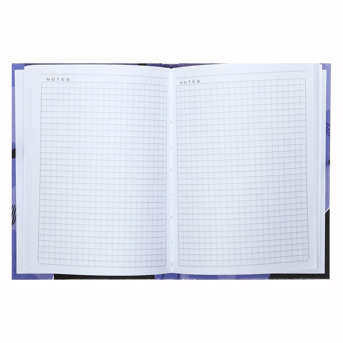 zapisnaja-knizhka-a6-80-listov-v-kletku-ampquotja-i-moj-kotampquot-tverdaja-oblozhka-gljancevaja-laminacija-blok-ofset-60gm2-9942150-3 Записная книжка, А6, 80 листов, в клетку, "Я и мой кот", твердая обложка, глянцевая ламинация, блок офсет 60г/м2 — изображение 4