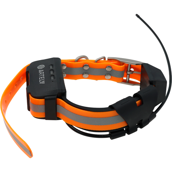 16768804_big Дополнительный GPS ошейник ARTELV COLLAR — изображение 2