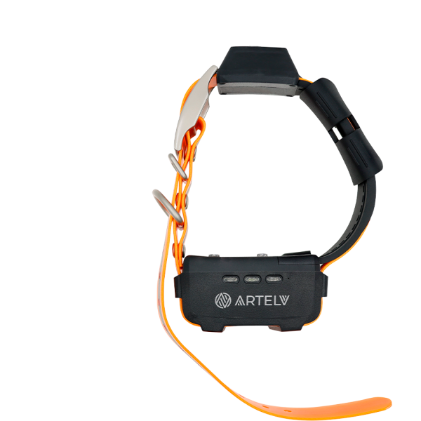 16768806_big Дополнительный GPS ошейник ARTELV COLLAR — изображение 4