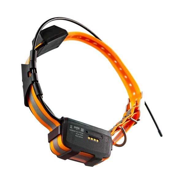 16769010_big GPS ошейник ARTELV COLLAR 2W — изображение 5