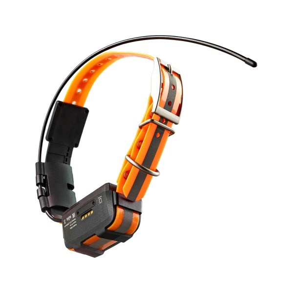 16769011_big GPS ошейник ARTELV COLLAR 2W — изображение 6