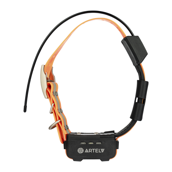16769115_big Artelv Tracker 2W — изображение 3