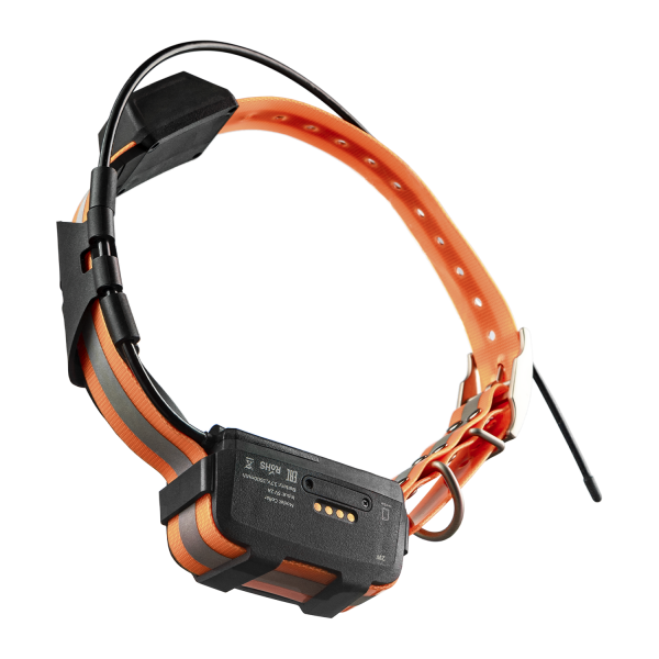 16769118_big Artelv Tracker 2W — изображение 6
